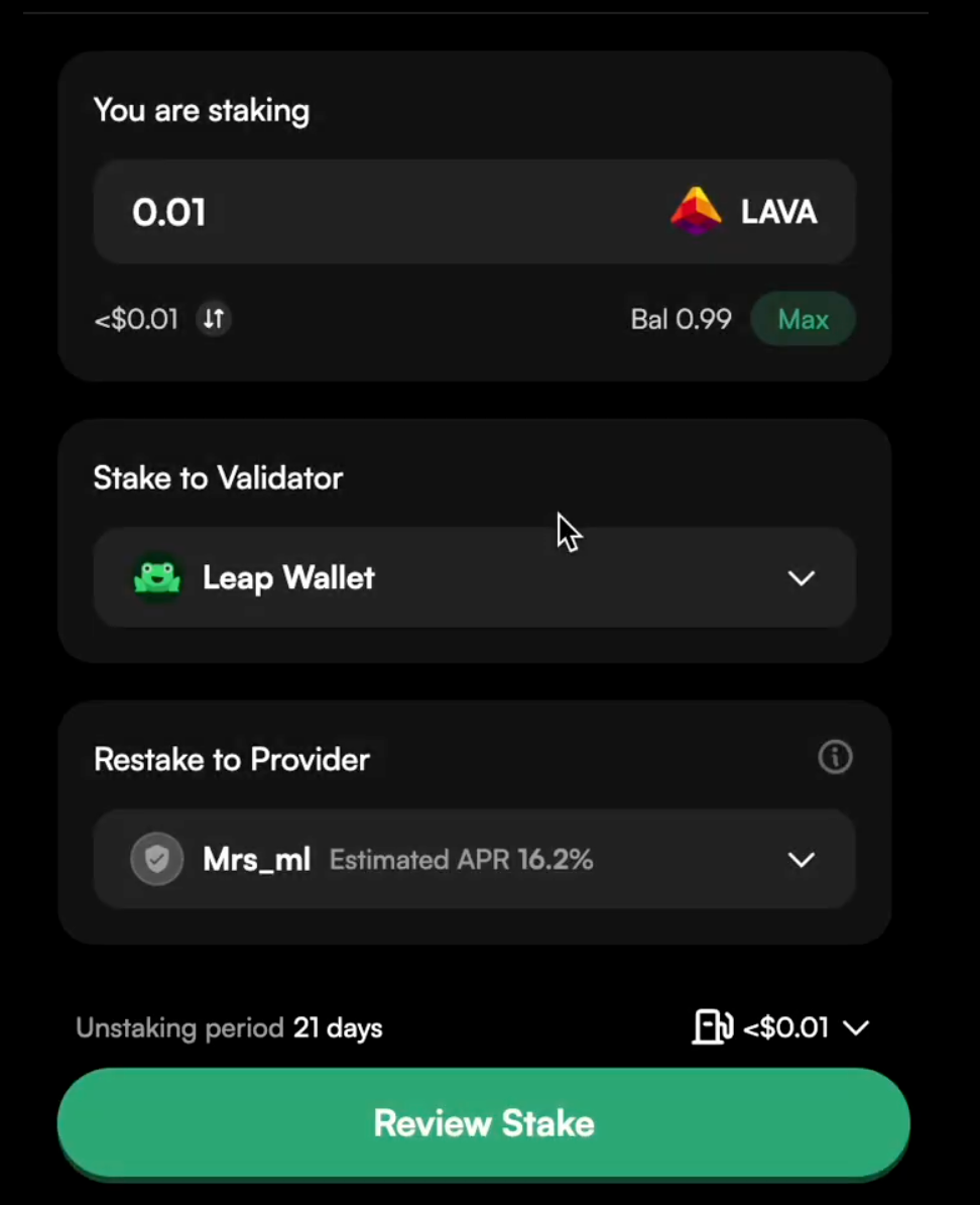 Leap Wallet Dashboarde